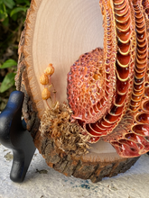 Load image into Gallery viewer, Fire Cyclops Wall Hanging Sculpture